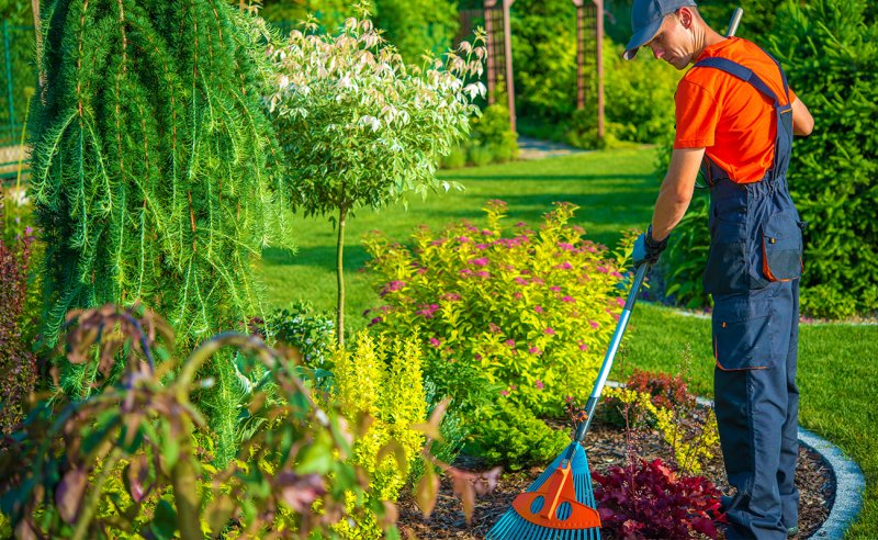 Bahçe Bakımında Profesyonel Yaklaşımlar ve Mevsimsel Uygulamalar - Konya Peyzaj Firması