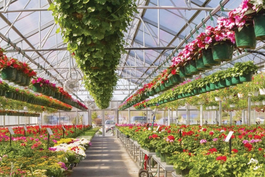 Seracılık & Fidancılık Hizmetleri