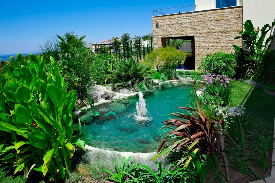 Bahçe ve Havuz Peyzaj Uygulaması